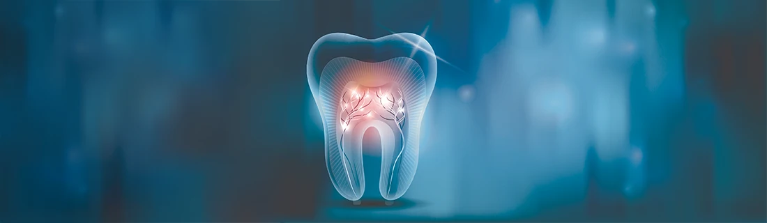 Transparent Tooth Root Canal Illustration